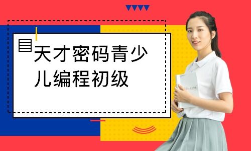 学编程一年大概多少钱(学电脑编程一年要多少钱)