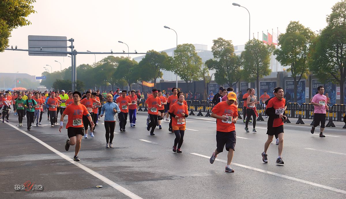 2013上海马拉松(2013年上海马拉松)