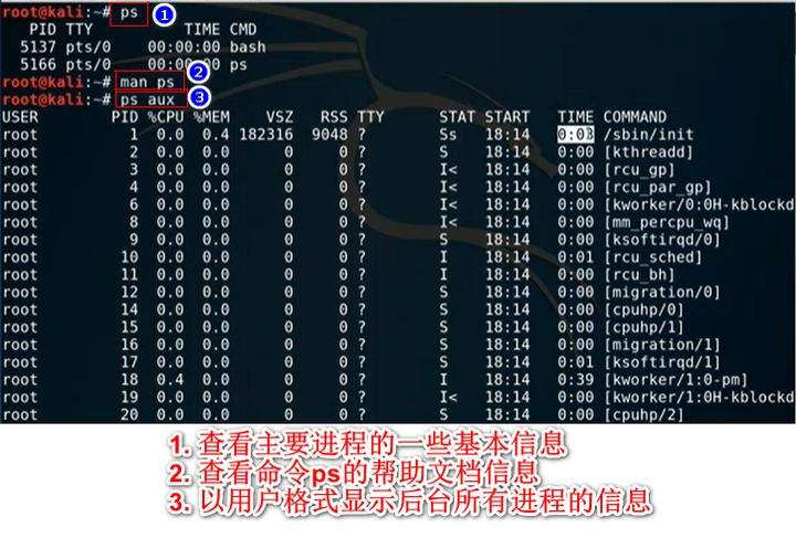 kali需要学什么编程语言(kali linux适合编程吗)