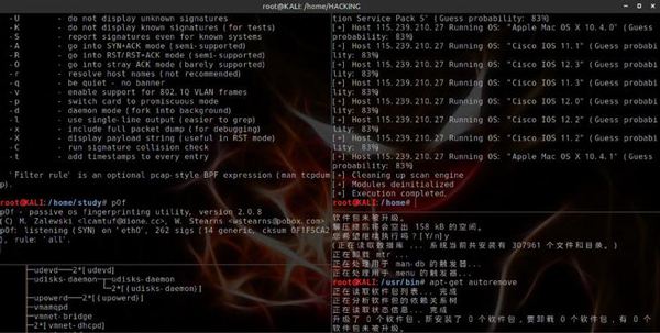 kali需要学什么编程语言(kali linux适合编程吗)