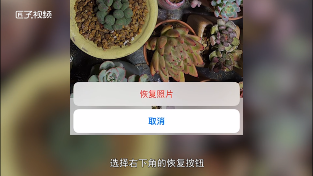 删除半年的照片还能恢复吗(半年以前删除的照片可以恢复吗)