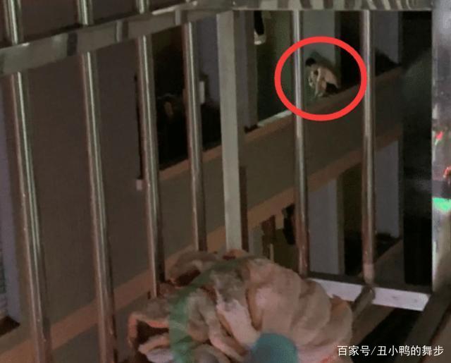 关于邻居竟在大姐门口拉屎写死字的信息
