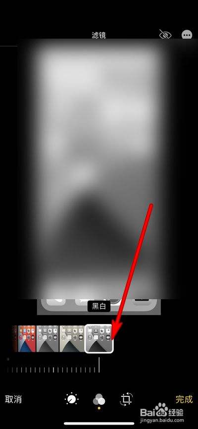 苹果13黑白屏幕怎么调回来(苹果手机变成黑白屏怎么调回来)