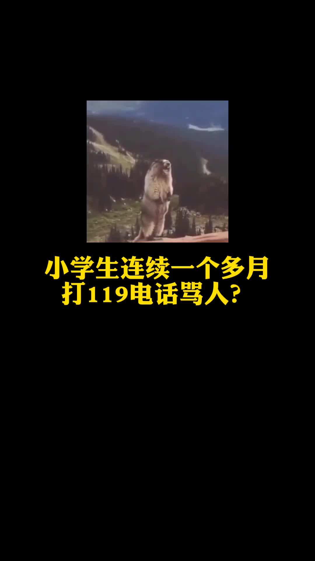 在警察局骂人(在警局骂人会被处理?)