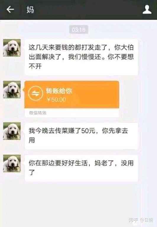 网赌输钱追回成功的(网赌输钱怎么追回来)