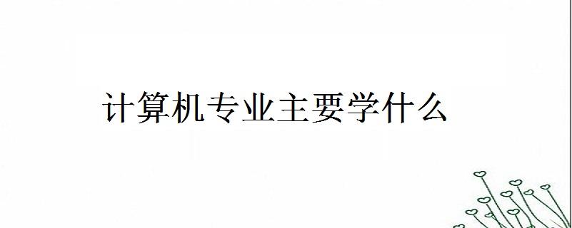 计算机学了出来干嘛(学计算机的出来能干啥)