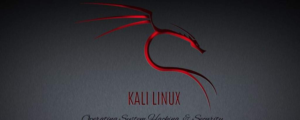 kali-linux(kalilinux使用教程)