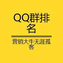 qq群(群投票在哪里)