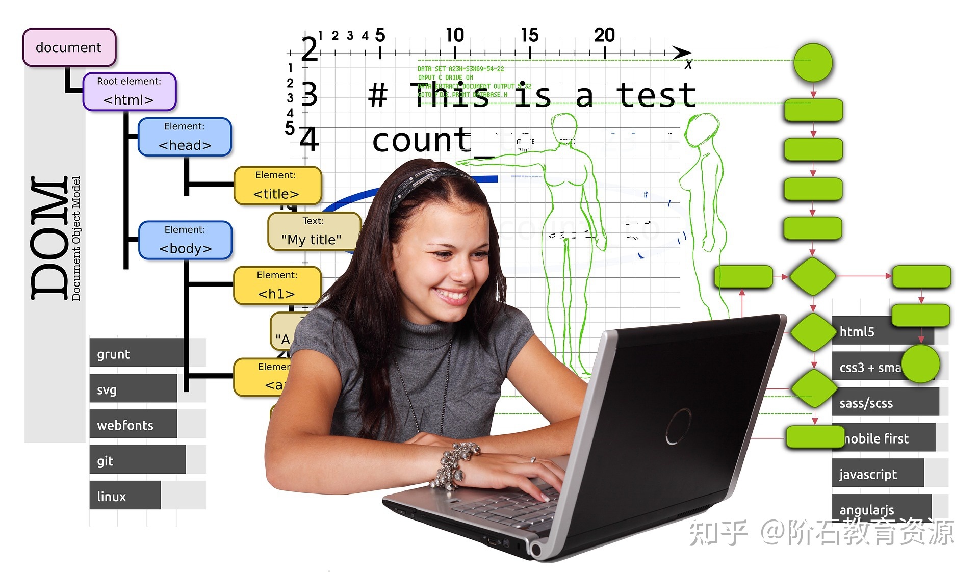 初学编程应该学什么(初学者学编程该从哪里开始)