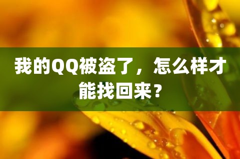 qq盗密码神器软件下载安卓版(盗密码神器软件下载安卓版免费)