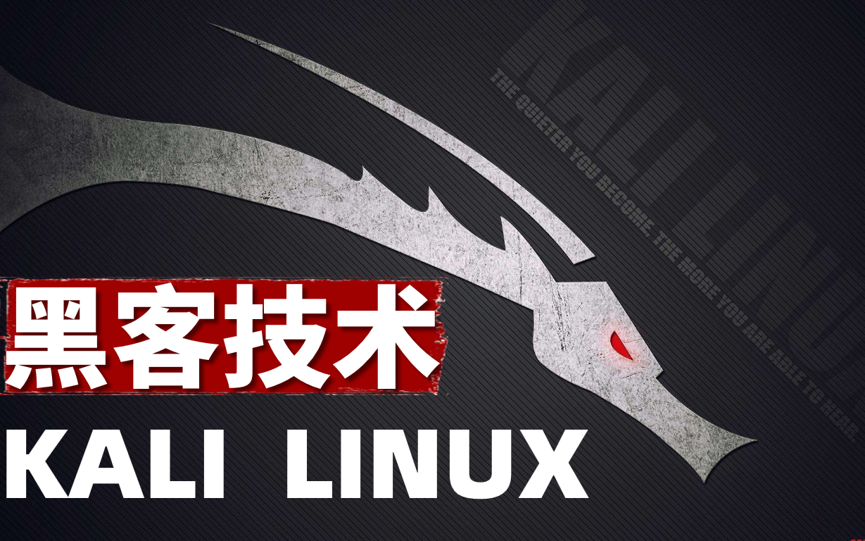 Kalilinux渗透手册(kali linux渗透测试技术详解pdf)