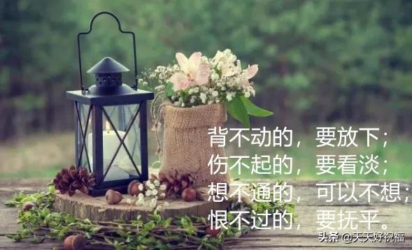 感慨人生的句子(适合感慨人生的句子)