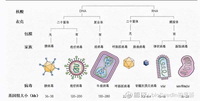 勒索病毒是什么类型的病毒(勒索病毒定义)