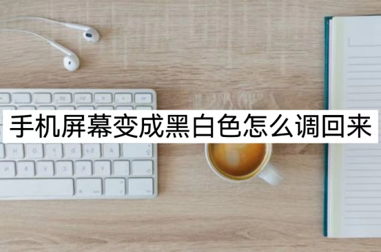 手机屏幕变成黑白屏怎么调回彩色(屏幕变小了怎么办)