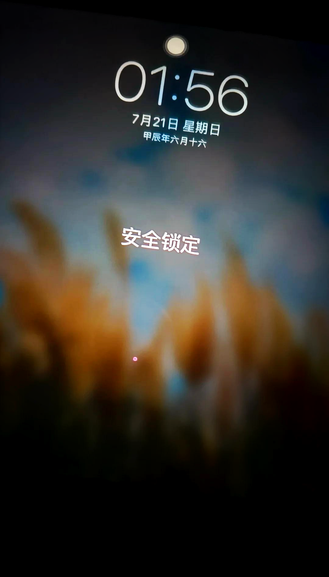 手机被锁无法使用怎么办(安卓手机被锁定了怎么解开)
